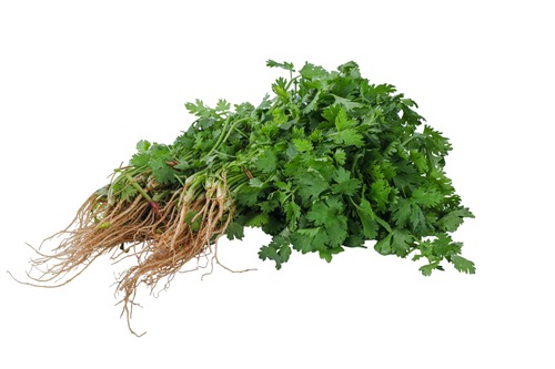 Fresh Local Coriander (Dhania)