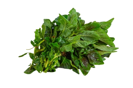 Amaranth (Terere)