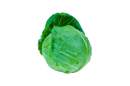 White Cabbage