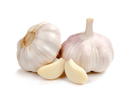 Fresh white Garlic